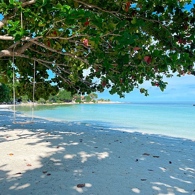 Beach Chairs & Loungers