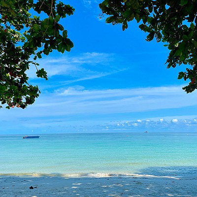 Beach Front